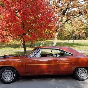 Meet your Posher, George